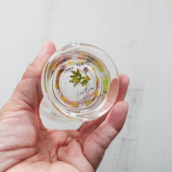 Anthropologie x Lou Rota Mother Nature Juice Glass - NEW - Picture 3 of 8